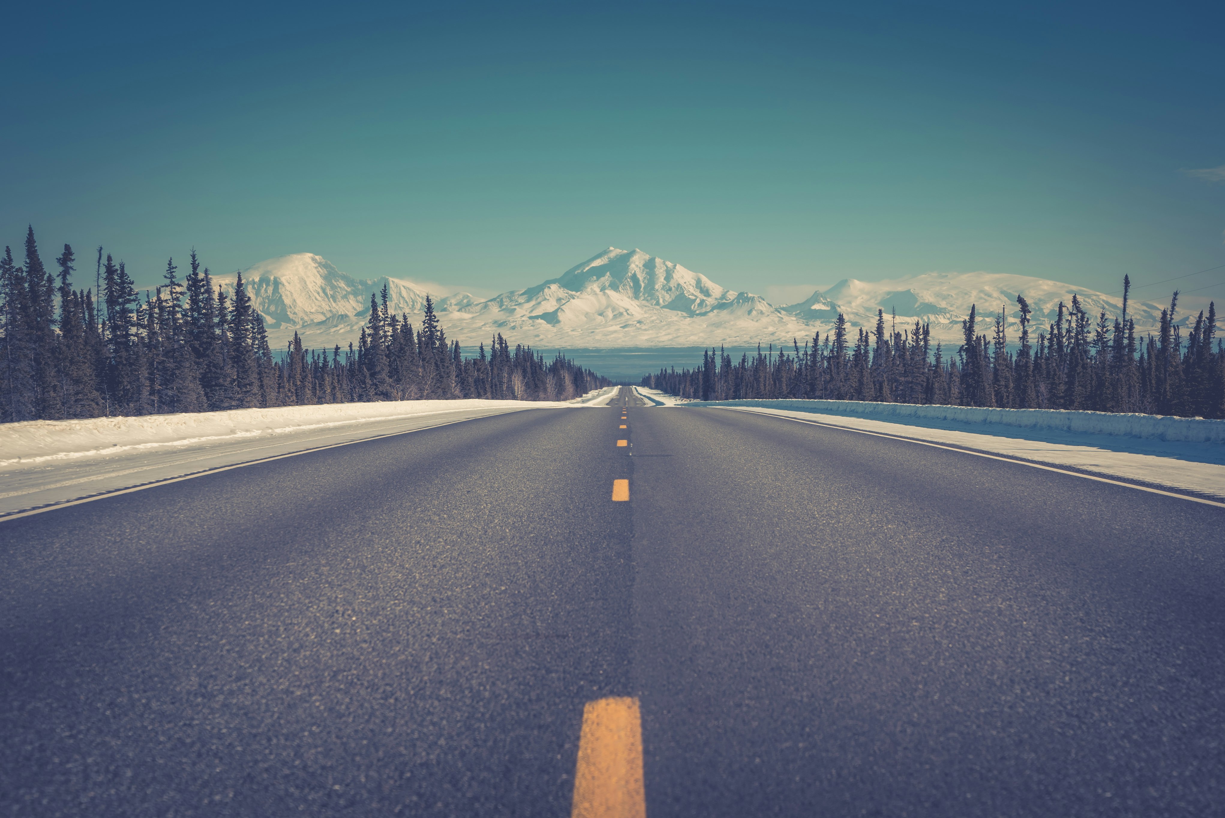 asphalt road between trees under blue clear sky during daytime